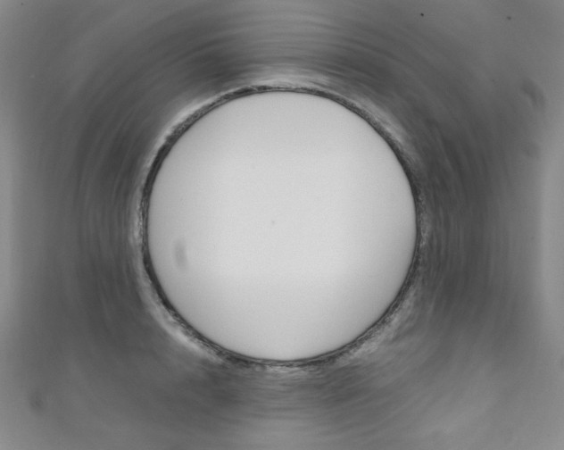 X0000111150848200906301036