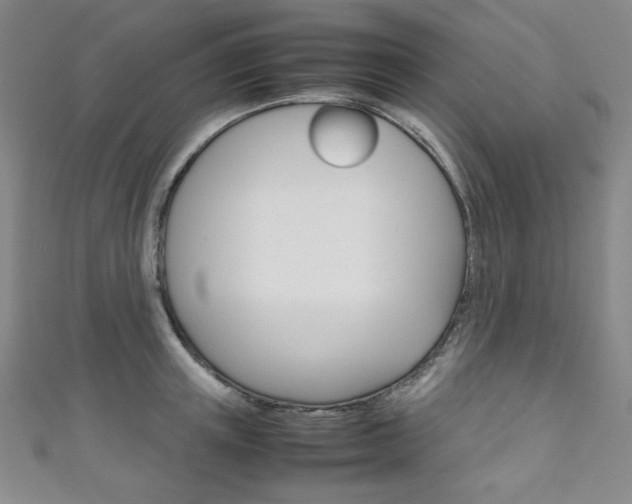 X0000111150851200906301036