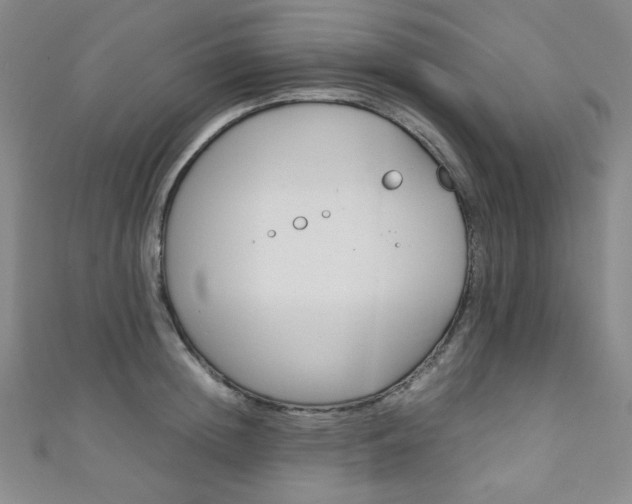 X0000111150852200906301036