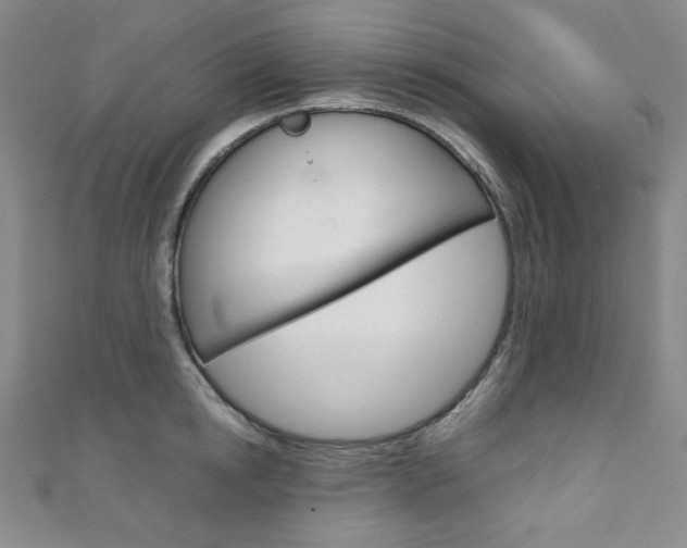 X0000111150854200906301036