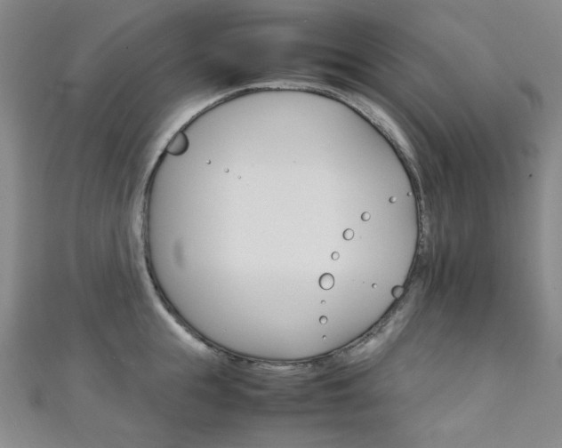 X0000111150855200906301036