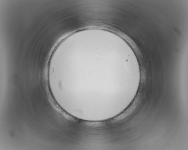 X0000111150856200906301036