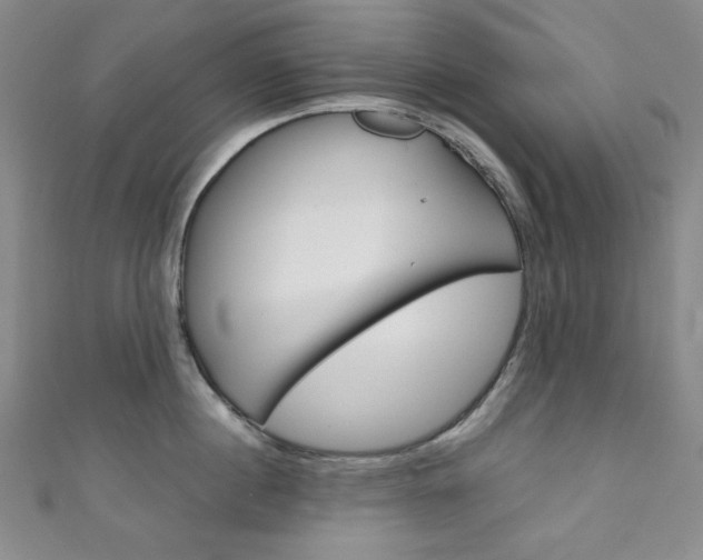 X0000111150860200906301036