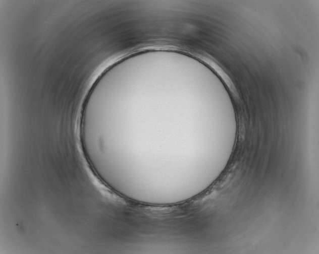 X0000111150861200906301036