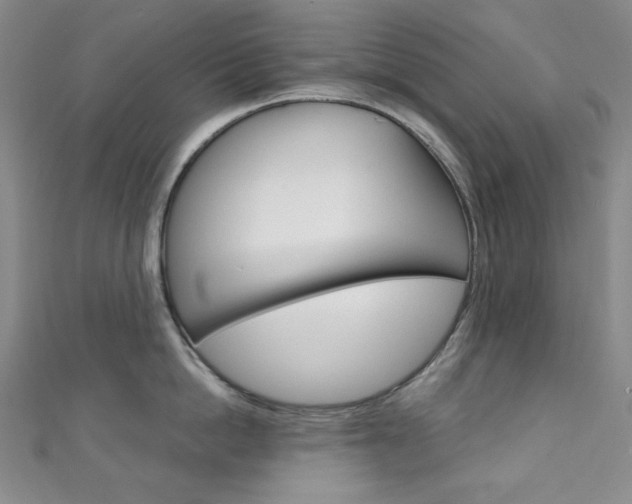 X0000111150862200906301036