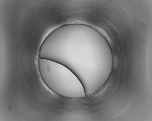X0000111150863200906301036