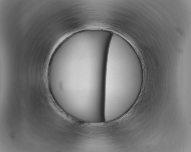 X0000111150864200906301036