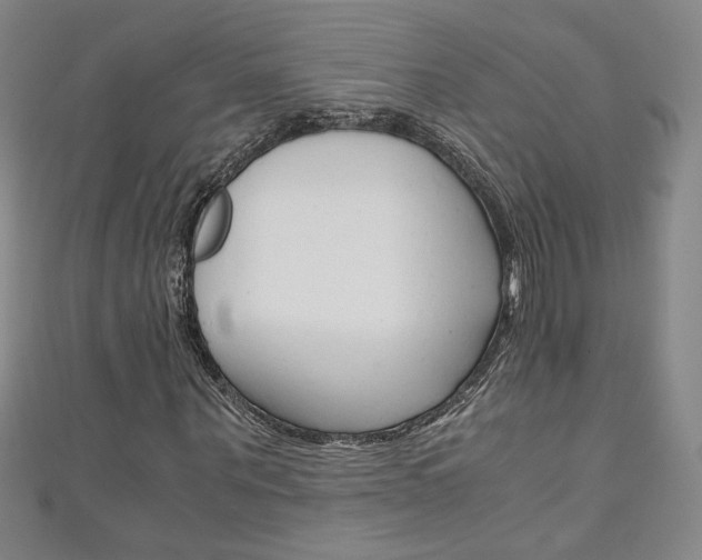 X0000111150867200906301035