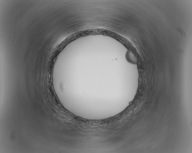 X0000111150871200906301035