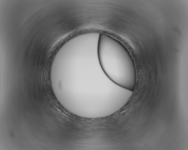 X0000111150872200906301035