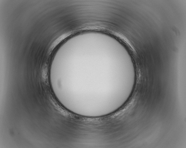 X0000111150874200906301035