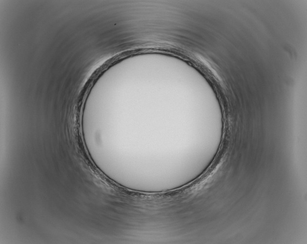 X0000111150875200906301035
