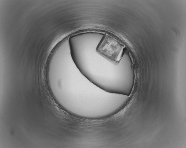 X0000111150877200906301035