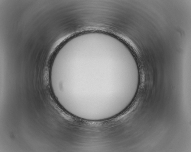 X0000111150878200906301035