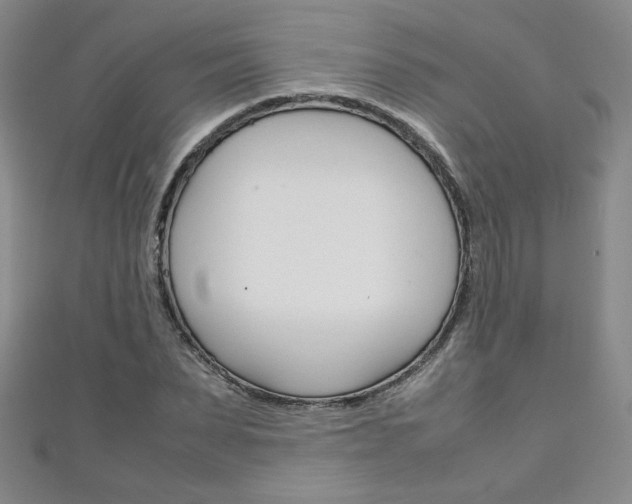 X0000111150879200906301035