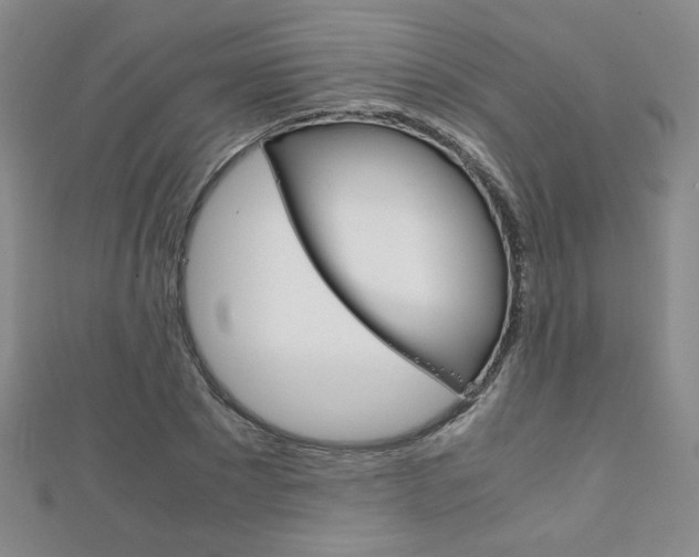 X0000111150881200906301035