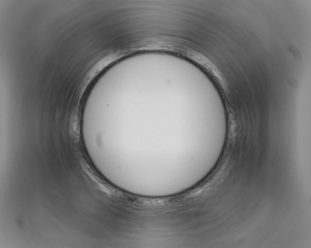 X0000111150882200906301035