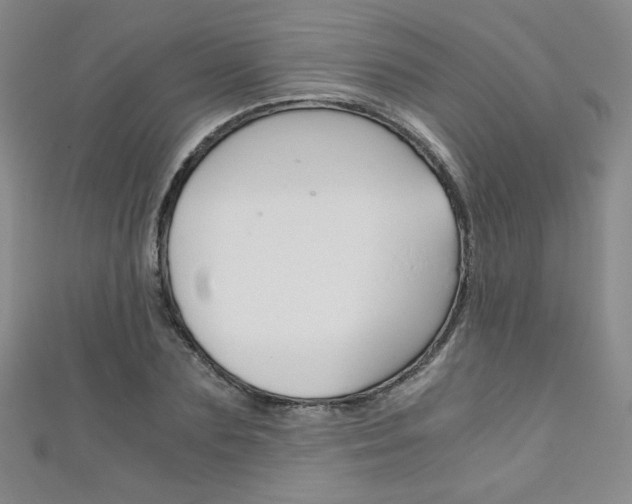 X0000111150883200906301035