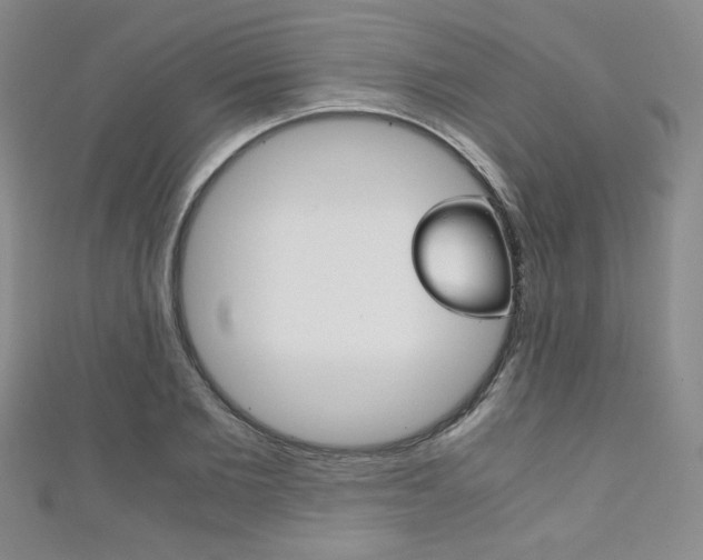 X0000111150885200906301035