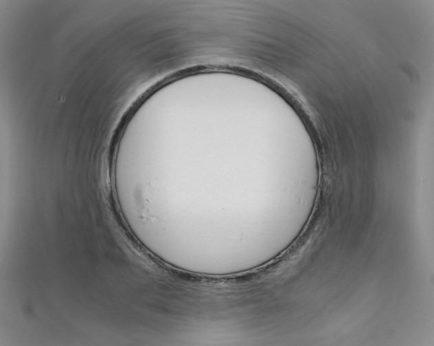 X0000111150887200906301035