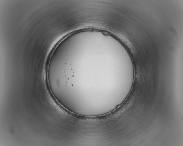 X0000111150888200906301035