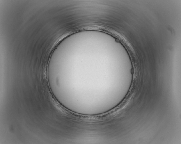 X0000111150889200906301035