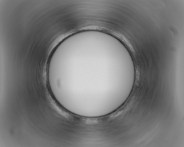 X0000111150890200906301035