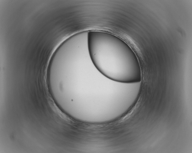 X0000111150892200906301035