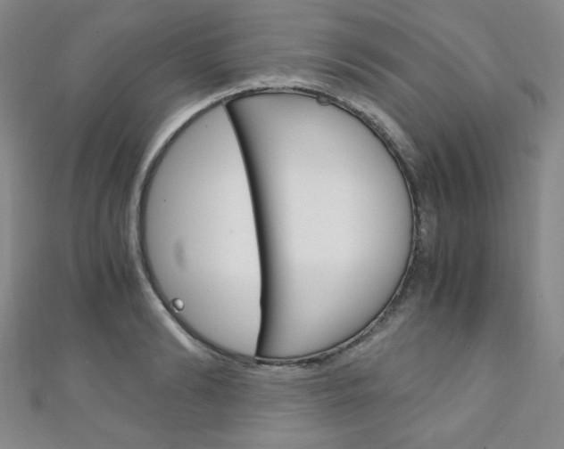 X0000111150894200906301035