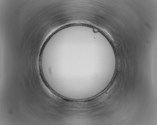 X0000111150895200906301035