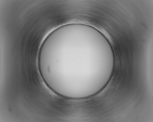 X0000111150896200906301035