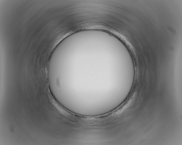 X0000111150897200906301035