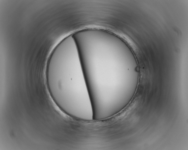 X0000111150902200906301035