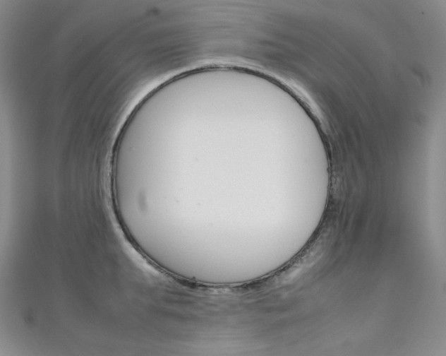 X0000111150903200906301035