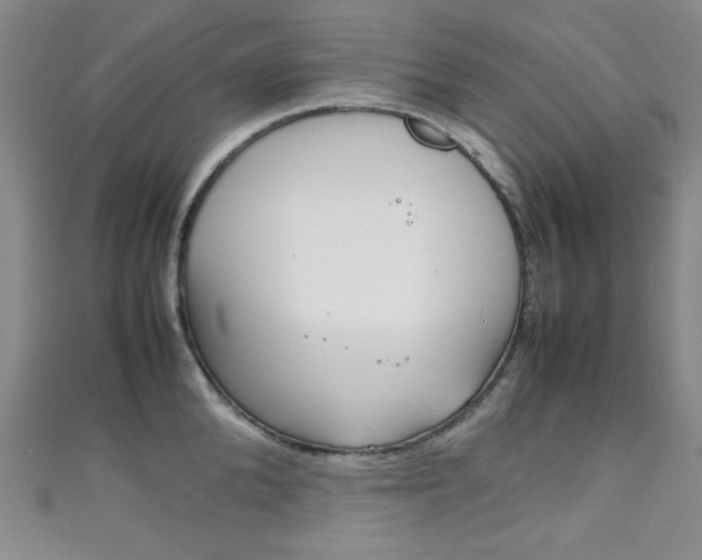X0000111150904200906301035