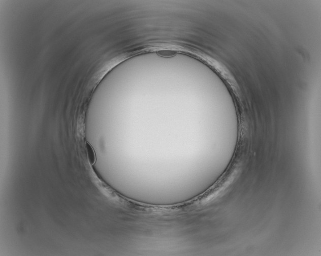 X0000111150905200906301035