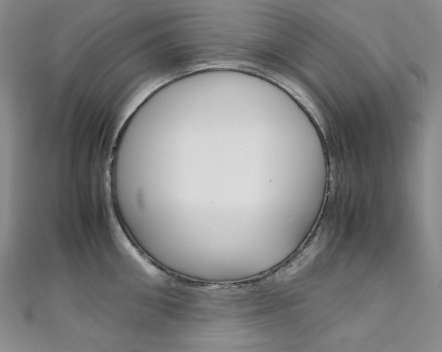 X0000111150906200906301035