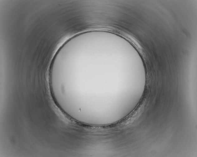 X0000111150907200906301035