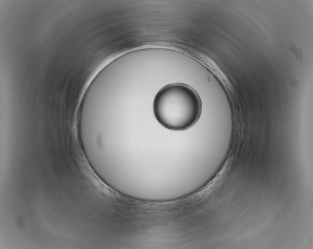 X0000111150908200906301035