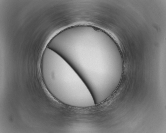 X0000111150911200906301035