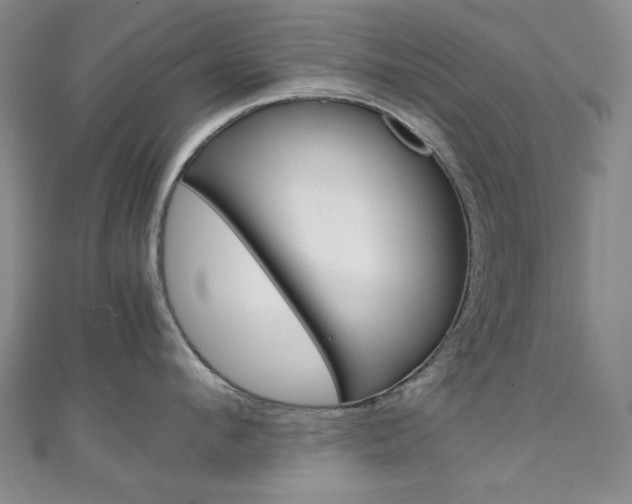 X0000111150912200906301035