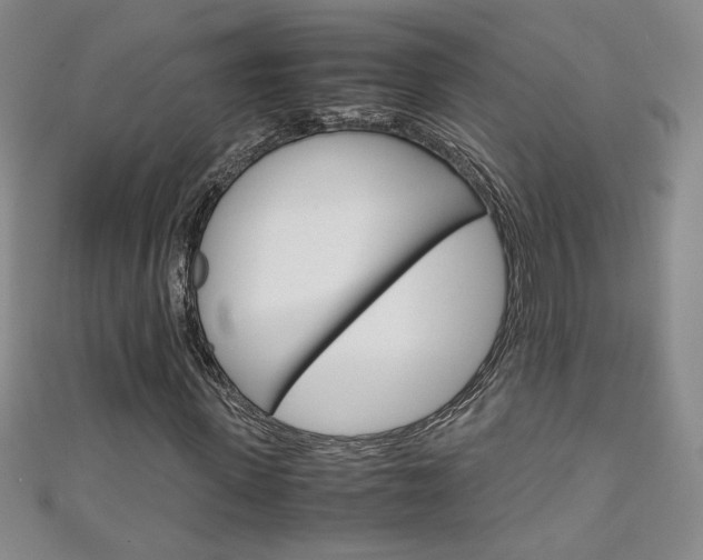 X0000111150915200906301034