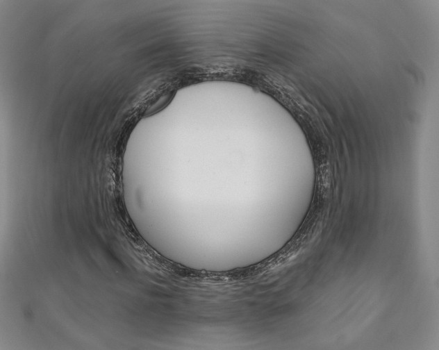 X0000111150916200906301034