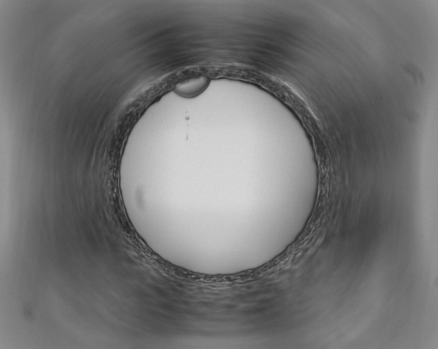 X0000111150919200906301034
