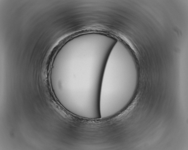 X0000111150923200906301034