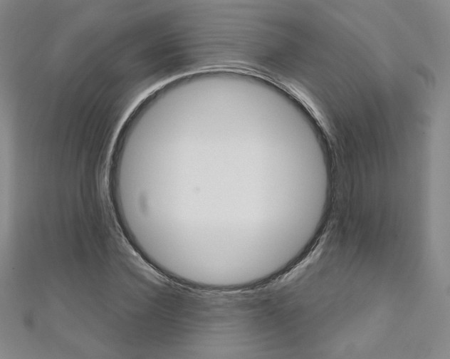 X0000111150924200906301034