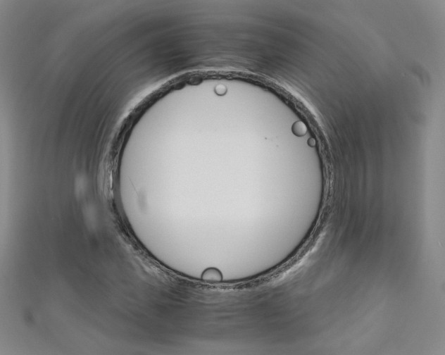X0000111150925200906301034