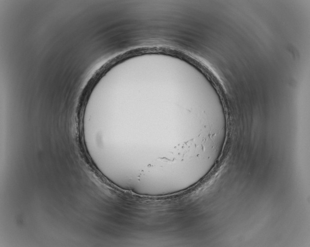 X0000111150927200906301034