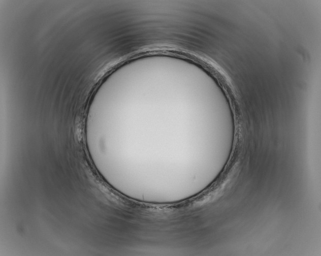 X0000111150929200906301034