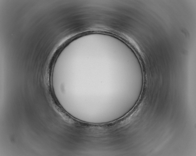 X0000111150931200906301034